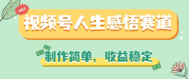 视频号人生感悟赛道，制作简单，收益稳定【揭秘】-逐浪前行