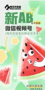 梅花实验室2024年AB技术视频号AB合成破解版-逐浪前行
