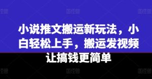 小说推文搬运新玩法，小白轻松上手，搬运发视频让搞钱更简单-逐浪前行