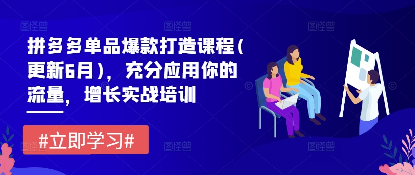 拼多多单品爆款打造课程(更新6月)，充分应用你的流量，增长实战培训-逐浪前行