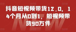 抖音短视频带货12.0,14个月从0到1,短视频带货90万件-逐浪前行