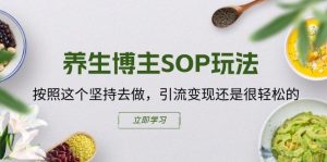 养生博主SOP玩法，按照这个坚持去做，引流变现还是很轻松的-逐浪前行