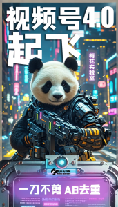 梅花实验窒微信视频号连怼玩法技巧起飞4.0一键AB破解版【揭秘】-逐浪前行