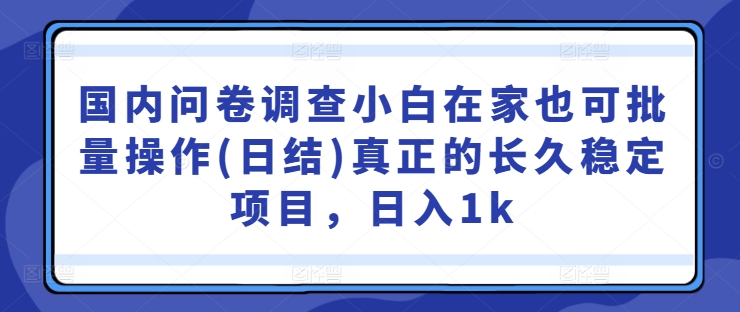 国内问卷调查小白在家也可批量操作(日结)真正的长久稳定项目，日入1k【揭秘】-逐浪前行