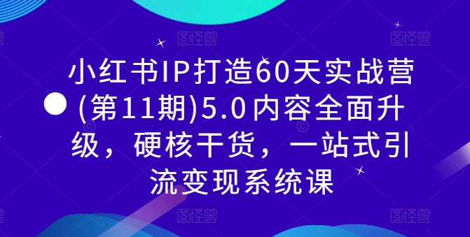 小红书IP打造60天实战营(第11期)5.0​内容全面升级，硬核干货，一站式引流变现系统课-逐浪前行