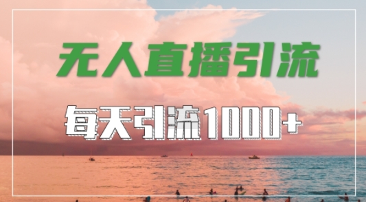 抖音快手视频号全平台通用，无人直播引流法，超暴力引流1000+高质量精准创业粉【揭秘】-逐浪前行
