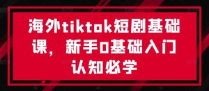 海外tiktok短剧基础课,新手0基础入门认知必学-逐浪前行