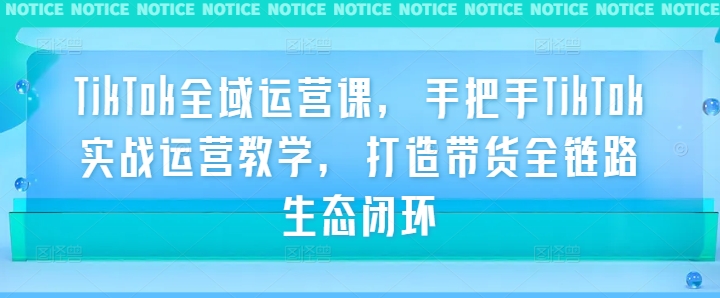 TikTok全域运营课，手把手TikTok实战运营教学，打造带货全链路生态闭环-逐浪前行