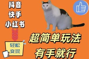 超简单玩法,有手就行,靠猫咪视频日入500+【揭秘】-逐浪前行