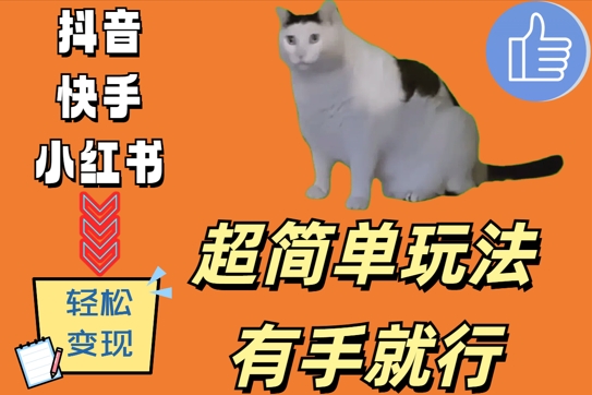 超简单玩法，有手就行，靠猫咪视频日入500+【揭秘】-逐浪前行