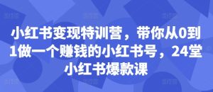 小红书变现特训营,带你从0到1做一个赚钱的小红书号,24堂小红书爆款课-逐浪前行