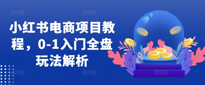 小红书电商项目教程，0-1入门全盘玩法解析-逐浪前行