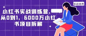小红书实战训练营,从0到1,6000万小红书项目拆解-逐浪前行