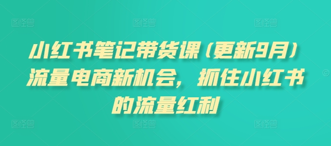 小红书笔记带货课(更新10月)流量电商新机会，抓住小红书的流量红利-逐浪前行