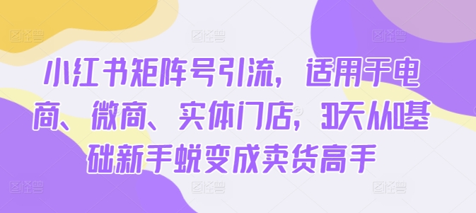 小红书矩阵号引流，适用于电商、微商、实体门店，30天从0基础新手蜕变成卖货高手-逐浪前行