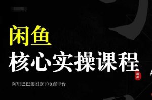 2024闲鱼核心实操课程,从养号、选品、发布、销售,教你做一个出单的闲鱼号-逐浪前行