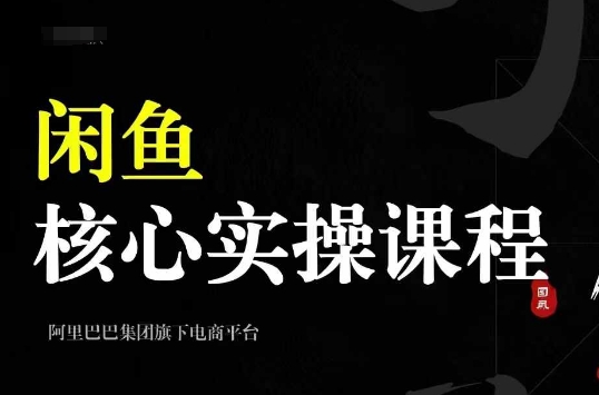 2024闲鱼核心实操课程，从养号、选品、发布、销售，教你做一个出单的闲鱼号-逐浪前行