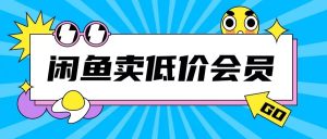 外面收费998的闲鱼低价充值会员搬砖玩法号称日入200+-逐浪前行