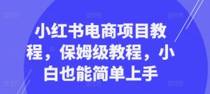小红书电商项目教程,保姆级教程,小白也能简单上手-逐浪前行