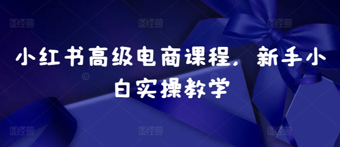 小红书高级电商课程，新手小白实操教学-逐浪前行