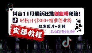 抖音11月最新狂揽创业粉秘籍,轻松日引300+精准创业粉,仅需图片+音频,轻松搞定创业类视频-逐浪前行