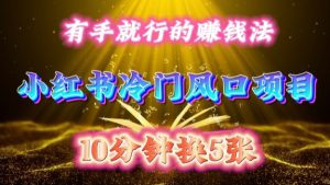 每天 10 分钟,小红书冷门风口项目开启,有手就行的搬运赚钱法,小白日入500 +【揭秘】-逐浪前行