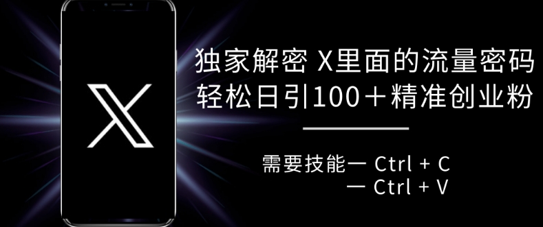 独家解密 X 里面的流量密码，复制粘贴轻松日引100+-逐浪前行
