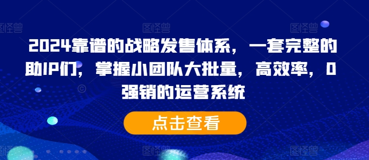2024靠谱的战略发售体系，一套完整的助IP们，掌握小团队大批量，高效率，0 强销的运营系统-逐浪前行