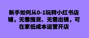 新手如何从0-1玩转小红书店铺,无需囤货、无需出镜,可在家低成本运营开店-逐浪前行
