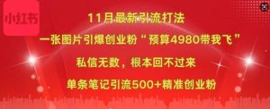 小红书11月最新图片打粉,一张图片引爆创业粉,“预算4980带我飞”,单条引流500+精准创业粉-逐浪前行