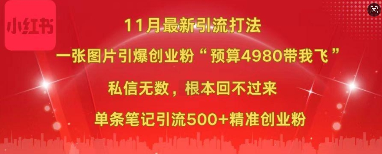 小红书11月最新图片打粉，一张图片引爆创业粉，“预算4980带我飞”，单条引流500+精准创业粉-逐浪前行