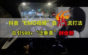 抖音EMO视频自热打法,日引500+“泛垂直”创业粉-逐浪前行