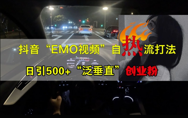 抖音EMO视频自热打法，日引500+“泛垂直”创业粉-逐浪前行
