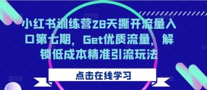 小红书训练营28天撕开流量入口第七期,Get优质流量,解锁低成本精准引流玩法-逐浪前行