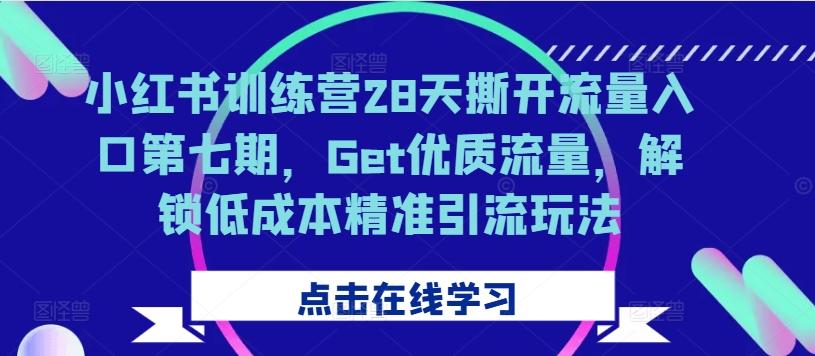 小红书训练营28天撕开流量入口第七期，Get优质流量，解锁低成本精准引流玩法-逐浪前行