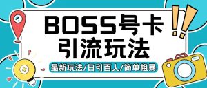 Boss直聘流量卡引流变现玩法，日引200+创业粉【揭秘】-逐浪前行