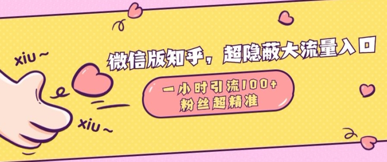 微信版知乎，超隐蔽流量入口1小时引流100人，粉丝质量超高【揭秘】-逐浪前行