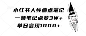 小红书人性痛点笔记,一条笔记点赞3W+,单日变现1k-逐浪前行