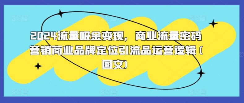 2024流量吸金变现，商业流量密码营销商业品牌定位引流品运营逻辑(图文)-逐浪前行