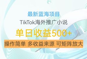 最新蓝海项目,利用tiktok海外推广小说赚钱佣金,简单易学,日入500+,可矩阵放大【揭秘】-逐浪前行