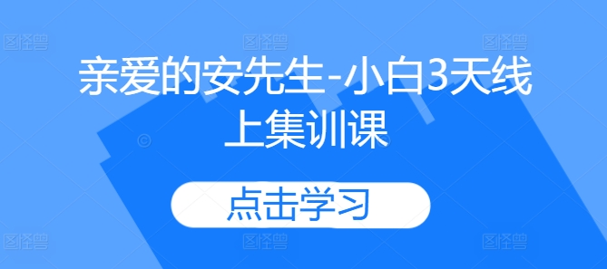 亲爱的安先生-小白3天线上集训课-逐浪前行