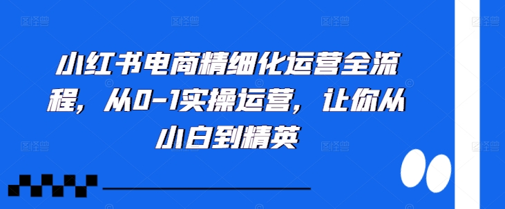 小红书电商精细化运营全流程，从0-1实操运营，让你从小白到精英-逐浪前行