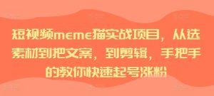 短视频meme猫实战项目,从选素材到把文案,到剪辑,手把手的教你快速起号涨粉-逐浪前行