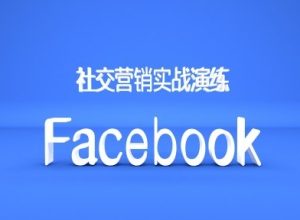Facebook社交营销实战演练,外贸人绝对不能错过的营销推广平台-逐浪前行