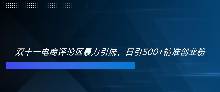 双十一电商评论区暴力引流，日引500+精准创业粉【揭秘】-逐浪前行