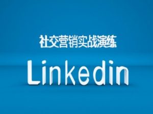 社交营销实战演练之Linkedin营销课程,B2B跨境外贸的新出路-逐浪前行