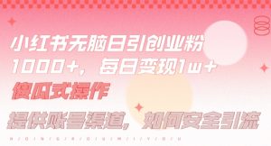 小红书无脑每日引流创业粉500+，小白每天只花半小时，躺赚长尾收益【揭秘】-逐浪前行