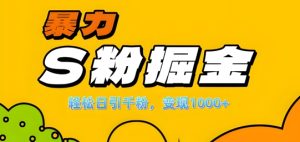 单人单机日引千粉,变现1k+,S粉流量掘金计划攻略【揭秘】-逐浪前行