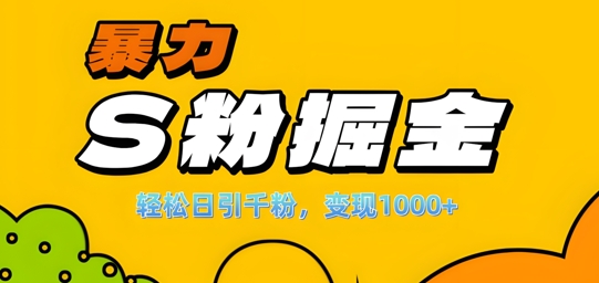 单人单机日引千粉，变现1k+，S粉流量掘金计划攻略【揭秘】-逐浪前行