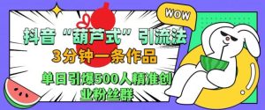 抖音葫芦式引流法，三分钟一条作品，单日引爆抖音500人精准创业粉丝群【揭秘】-逐浪前行